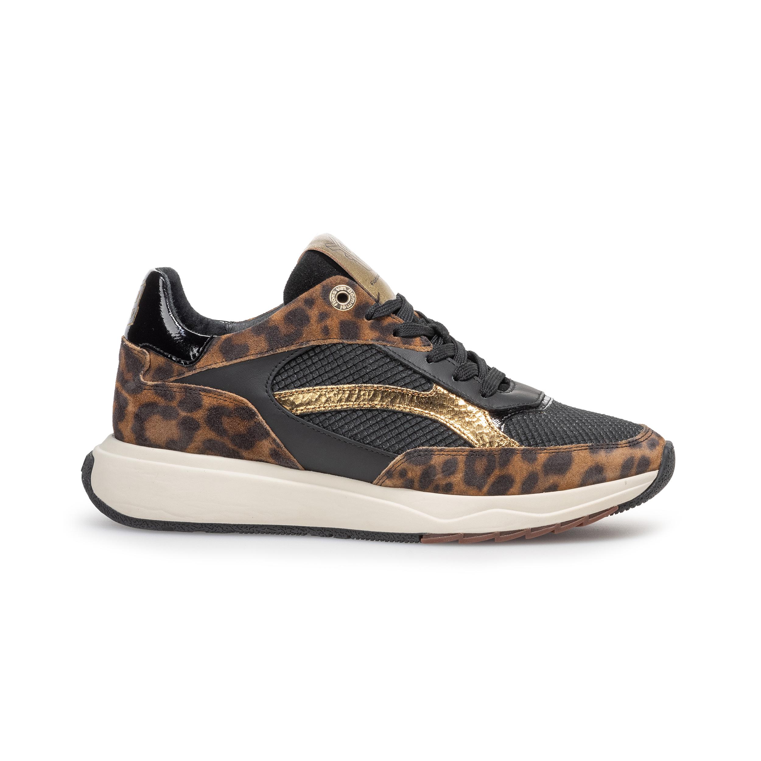 Floris van Bommel SFW-10138 Sneaker Suvi 02.00 Brown G