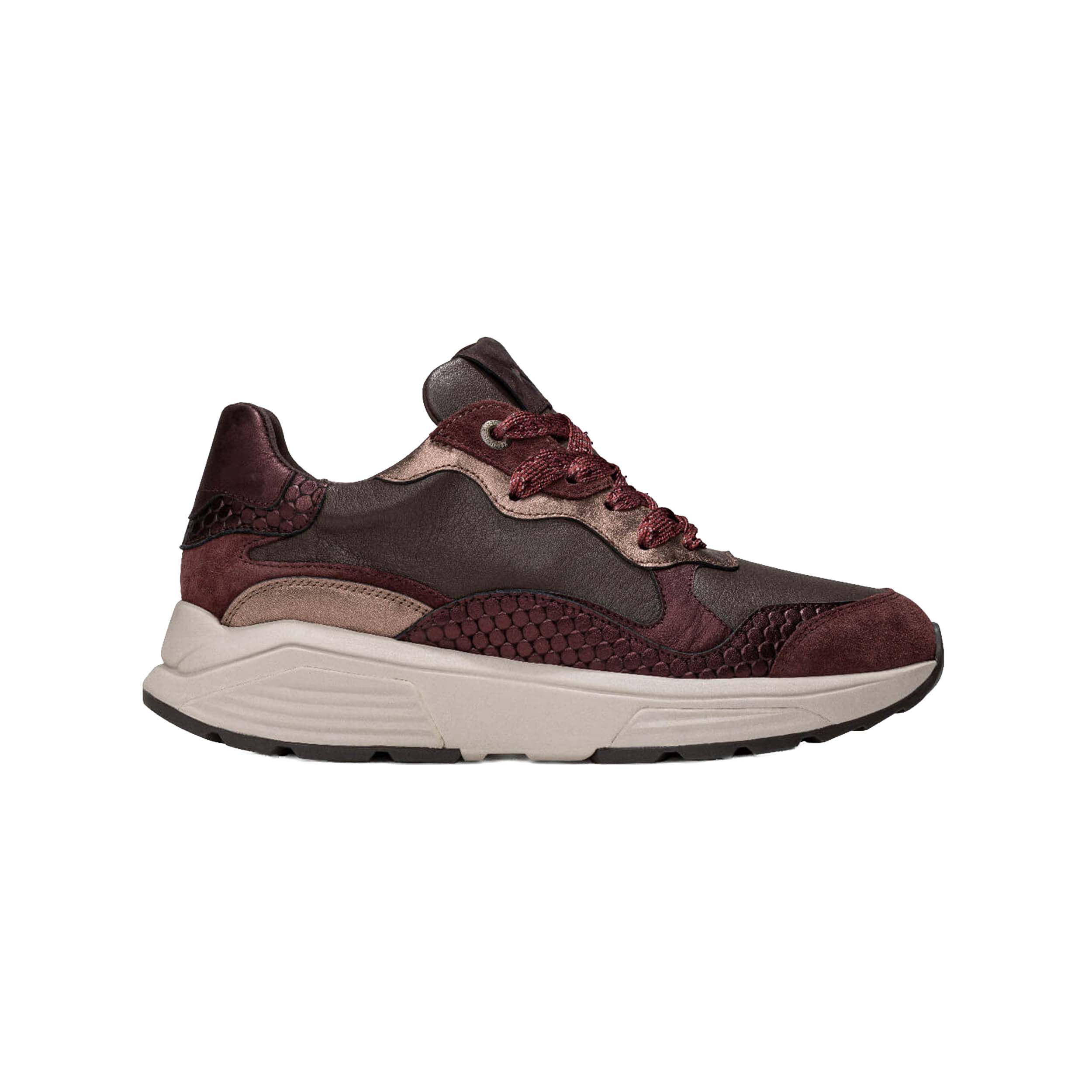 Xsensible 33011.3 Sneaker Rainbow Bordeaux Combi Gx