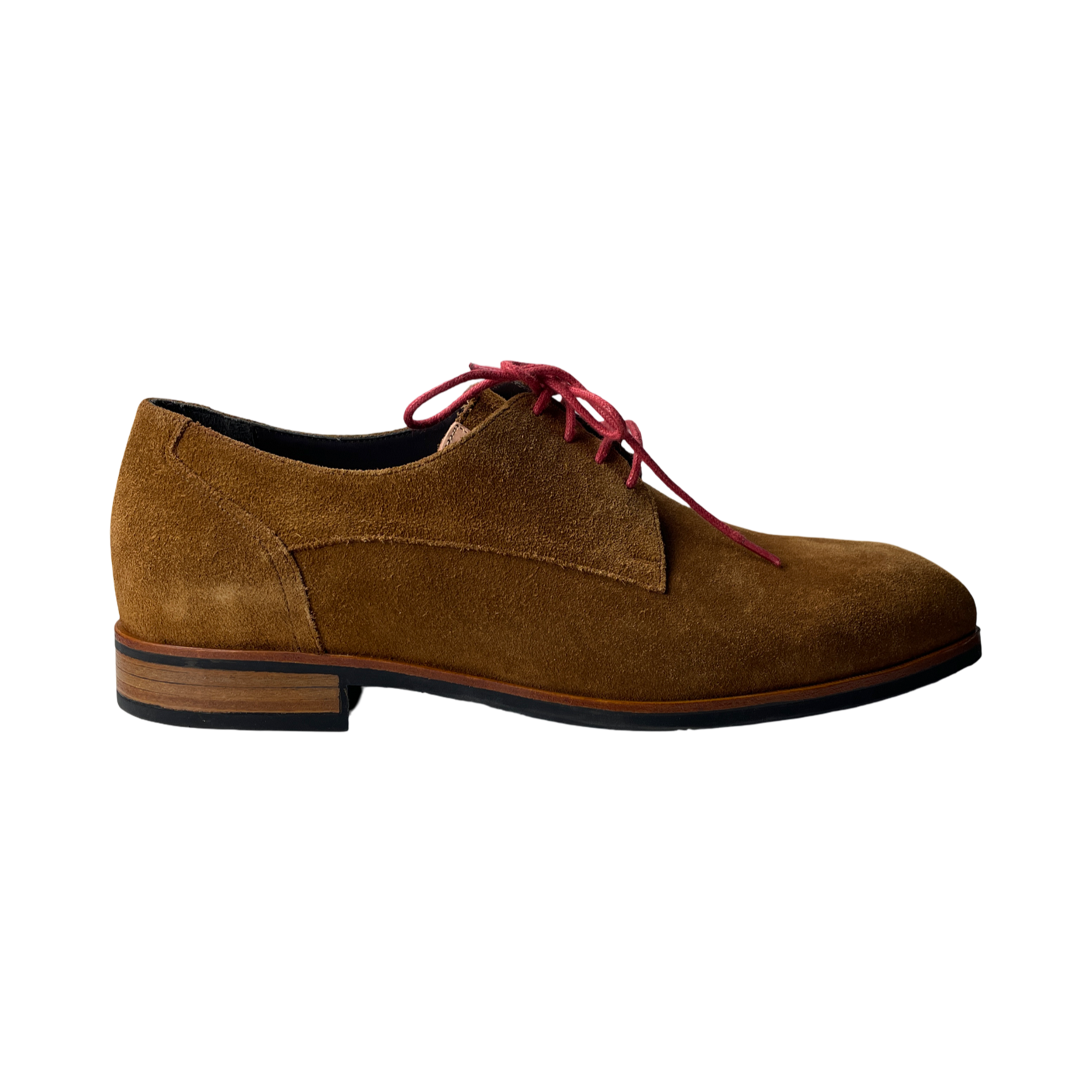 Gijs 2032 Moliere Cognac/Naturel G