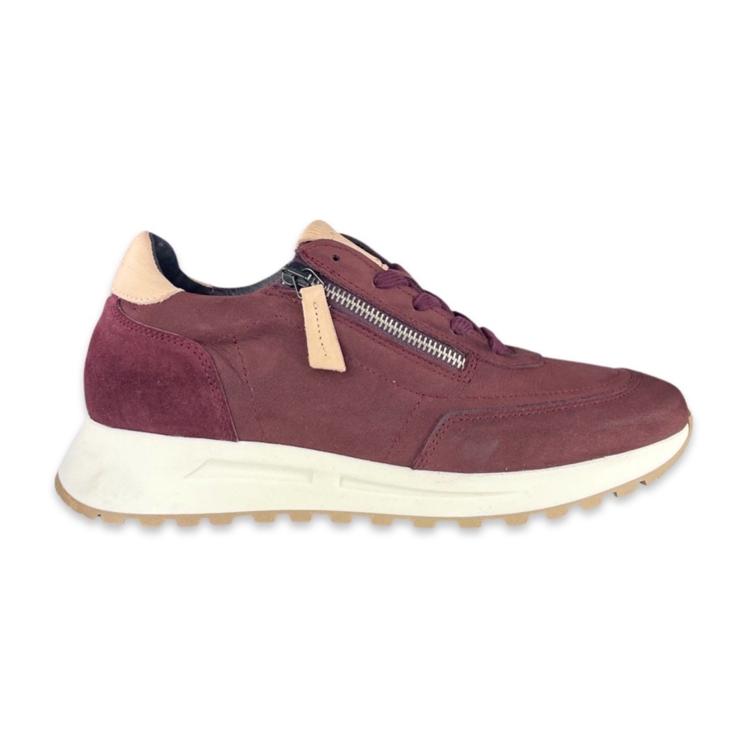 AQA A8433 Sneaker Cokkie Bordeaux