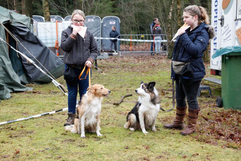 Schutrups Dogwalk 2024